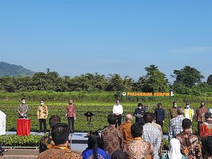 Resmikan Persemaian Rumpin, Jokowi Bicara Aksi Rehabilitasi Lingkungan Resmikan Persemaian Rumpin, Jokowi Bicara Aksi Rehabilitasi Lingkungan