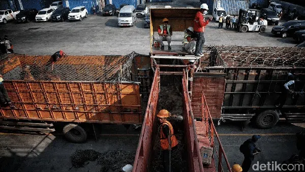 Ratusan Sapi untuk Idul Adha Mendarat di Priok