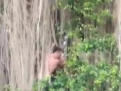 Bule Pemanjat Beringin Keramat di Bali Diusir Paksa dari Indonesia!