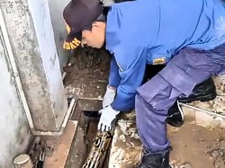 Damkar Evakuasi Ular Sanca 4 Meter yang Masuk Saluran Air di Tanah Abang