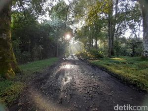 Kala Warga Kampung Cigumentong Sumedang Bertemu Macan Kala Warga Kampung Cigumentong Sumedang Bertemu Macan