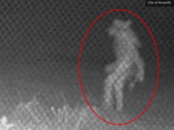 Hiii! Makhluk Misterius Tertangkap Kamera di Texas, Begini Bentuknya