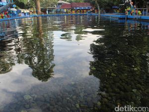 Nyegerin! Objek Wisata Cibulan yang Air Kolamnya Selalu Jernih Nyegerin! Objek Wisata Cibulan yang Air Kolamnya Selalu Jernih