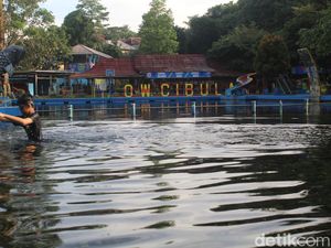 Main ke Cibulan, Bertemu Ikan Dewa dan Lihat Petilasan