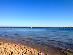 Laut Merah Jadi Saksi Mukjizat Nabi Musa hingga Perdamaian Israel-Hamas