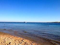 Laut Merah Jadi Saksi Mukjizat Nabi Musa hingga Perdamaian Israel-Hamas