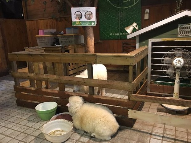 Thanks Nature Café