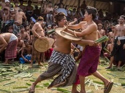 Tradisi Perang Pandan di Karangasem Tahun Ini Boleh Ditonton Langsung