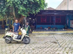 Lokasi Viral Pria Prank Nikahi Domba di Gresik yang Tuai Kritik