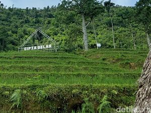 Ciptagelar Jaga Adat Menanam Padi dan Larangan Jual Hasil Panen Ciptagelar Jaga Adat Menanam Padi dan Larangan Jual Hasil Panen