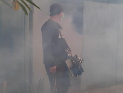 DBD Meningkat di Tabanan, Diskes Klaim Kesiapan Faskes Aman