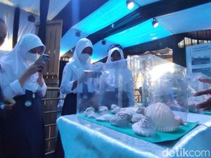Melihat Fosil Kehidupan Purbakala di Situs Tambaksari Ciamis Melihat Fosil Kehidupan Purbakala di Situs Tambaksari Ciamis