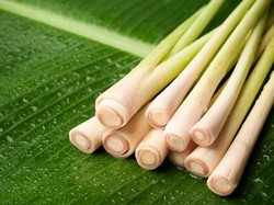 6 Manfaat Serai untuk Kesehatan Tubuh, Khasiatnya Nggak Kaleng-kaleng