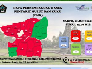 Wabah PMK Kabupaten Blitar Meluas, 458 Hewan Ternak Terjangkit Wabah PMK Kabupaten Blitar Meluas, 458 Hewan Ternak Terjangkit
