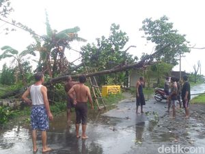 Angin Kencang Rusak 7 Rumah-Tumbangkan Pohon di Jombang Angin Kencang Rusak 7 Rumah-Tumbangkan Pohon di Jombang