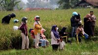Begini Jadinya Saat Warga Melihat Pemakaman Eril dari Tengah Sawah