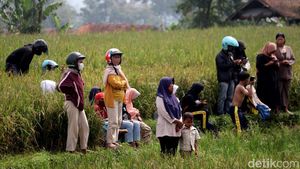 Begini Jadinya Saat Warga Melihat Pemakaman Eril dari Tengah Sawah