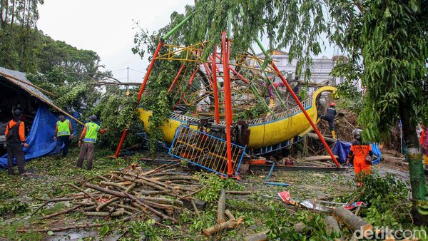 Waduh, Pohon Beringin Ambruk Timpa Kora-kora di Sleman