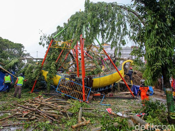 Waduh, Pohon Beringin Ambruk Timpa Kora-kora di Sleman