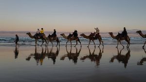 Bukan di Timur Tengah, Naik Unta di Australia Seru Juga