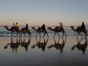 Bukan di Timur Tengah, Naik Unta di Australia Seru Juga