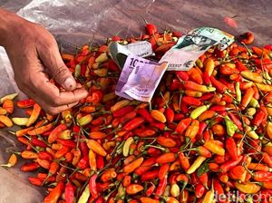 Cek Harga Pangan di Denpasar Sore Ini, Cabai Rawit Rp 51 Ribu Per Kilo Cek Harga Pangan di Denpasar Sore Ini, Cabai Rawit Rp 51 Ribu Per Kilo