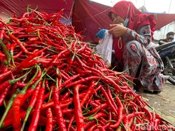 Harga Cabai Merah di Sumut Turun, di Medan Rp 46 Ribu per Kg