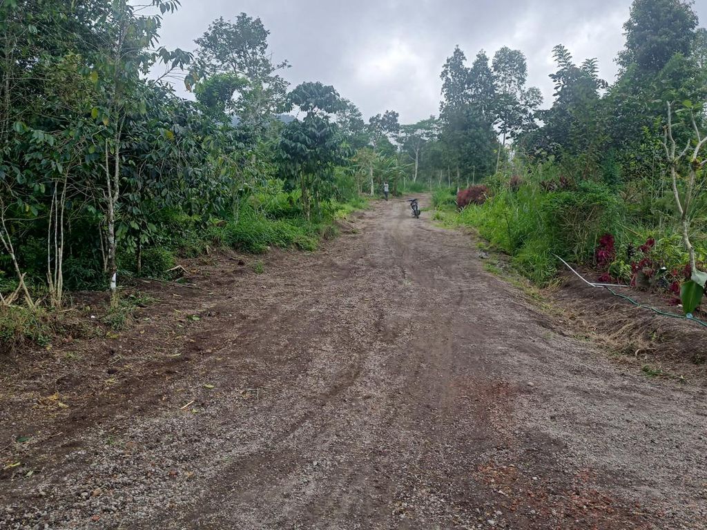 Warga Keluhkan Jalur Puregae Karangasem Belum Diaspal Warga Keluhkan Jalur Puregae Karangasem Belum Diaspal