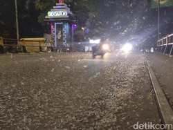 Jutaan Laron Serbu Jembatan Kali Porong, Panas Kalau Kena Mata