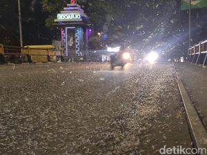 Jutaan Laron Serbu Jembatan Kali Porong, Panas Kalau Kena Mata Jutaan Laron Serbu Jembatan Kali Porong, Panas Kalau Kena Mata