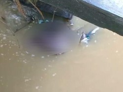 Warga Kubur Bangkai Sapi yang Sempat Dibuang di Sungai Sampang