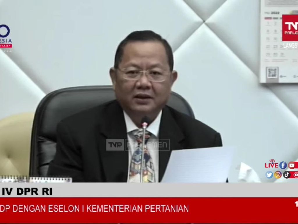 Ketua Komisi IV dari PDIP Kritik Mentan, Soroti Impor Beras