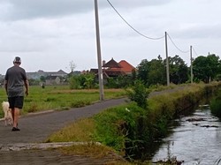Pekaseh Keluhkan Bule Bawa Anjing ke Jogging Track Subak Intaran