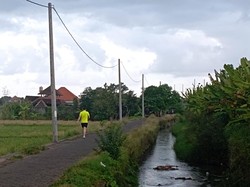 Cegah Alih Fungsi Lahan, Subak Intaran Barat Hadirkan Jogging Track