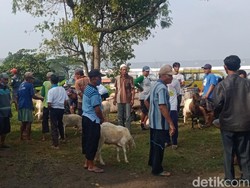 Pemprov Jateng Minta Pasar Hewan di Daerah Dibuka Jelang Idul Adha