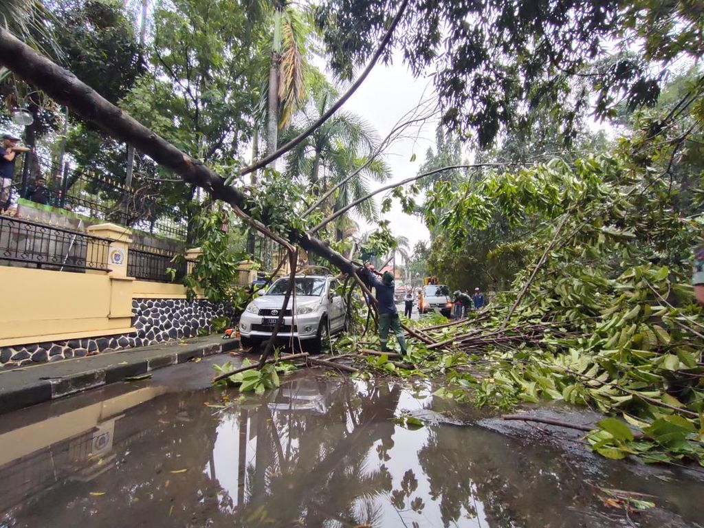 Pohon Tumbang di Depok Timpa Mobil Akibat Hujan Deras dan Angin Kencang