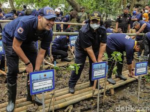 Menteri LHK Tanam Pohon Mangrove Bareng Partai NasDem