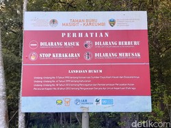 Mengenal Kawasan Konservasi Masigit Kareumbi di Sumedang