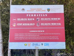 Mengenal Kawasan Konservasi Masigit Kareumbi di Sumedang Mengenal Kawasan Konservasi Masigit Kareumbi di Sumedang