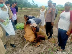 Kakek di Sukoharjo Tewas Tersambar Petir saat Berladang