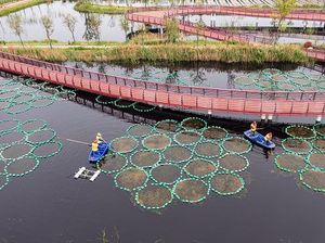 Begini Cara China Memastikan Kualitas Air Sungai Tetap Oke