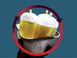 Zulhas Bilang Tak Ada Mafia di Balik Mahal-Langka Minyak Goreng