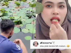 Istri Ngidam Makan Biji Teratai, Suami Rela Ambil Teratai di Kolam