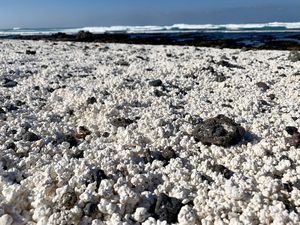 Foto: Ada Pantai Popcorn di Spanyol Foto: Ada Pantai Popcorn di Spanyol