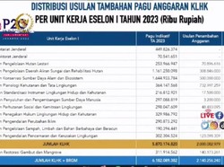 Mengenal Istilah Pagu dalam Pengelolaan Keuangan Beserta Jenisnya