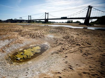 Gelombang Panas Bikin Sungai Loire di Prancis Mengering, Nih Fotonya