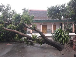 Puting Beliung Porak Porandakan Rumah-Kandang di Blitar