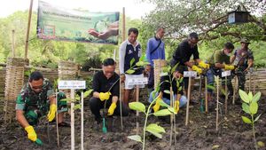 Peringati Hari Lingkungan Hidup dengan Tanam Bakau di Bali