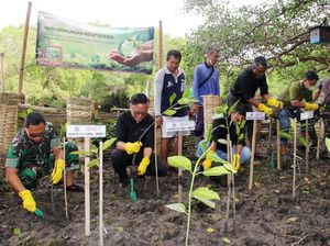Peringati Hari Lingkungan Hidup dengan Tanam Bakau di Bali Peringati Hari Lingkungan Hidup dengan Tanam Bakau di Bali