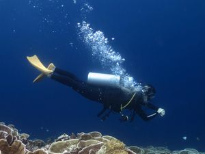 Mau Tahu Kenapa Air Laut Warnanya Biru, Ini Penyebabnya
